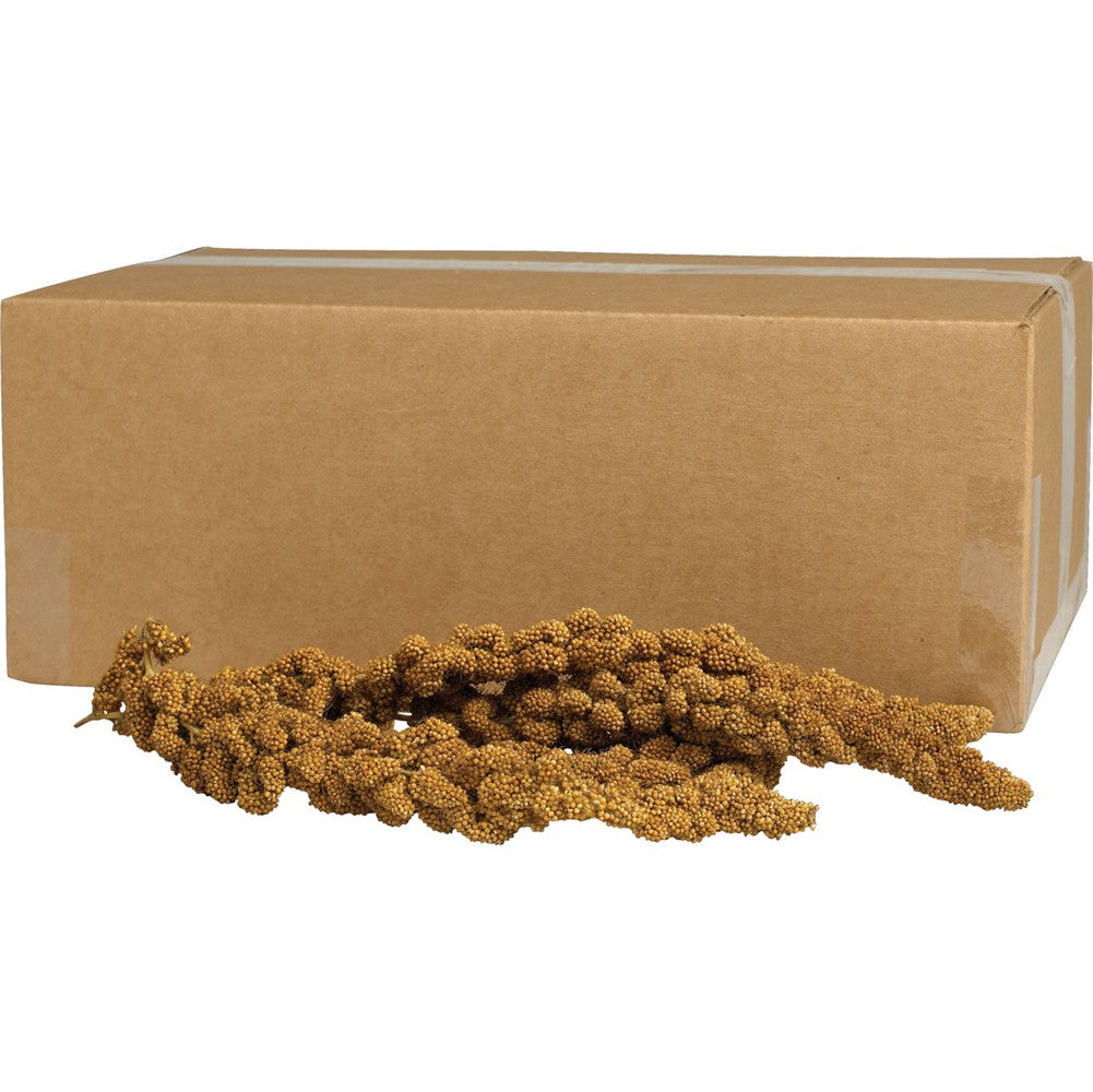 Kaytee Spray Millet for Birds