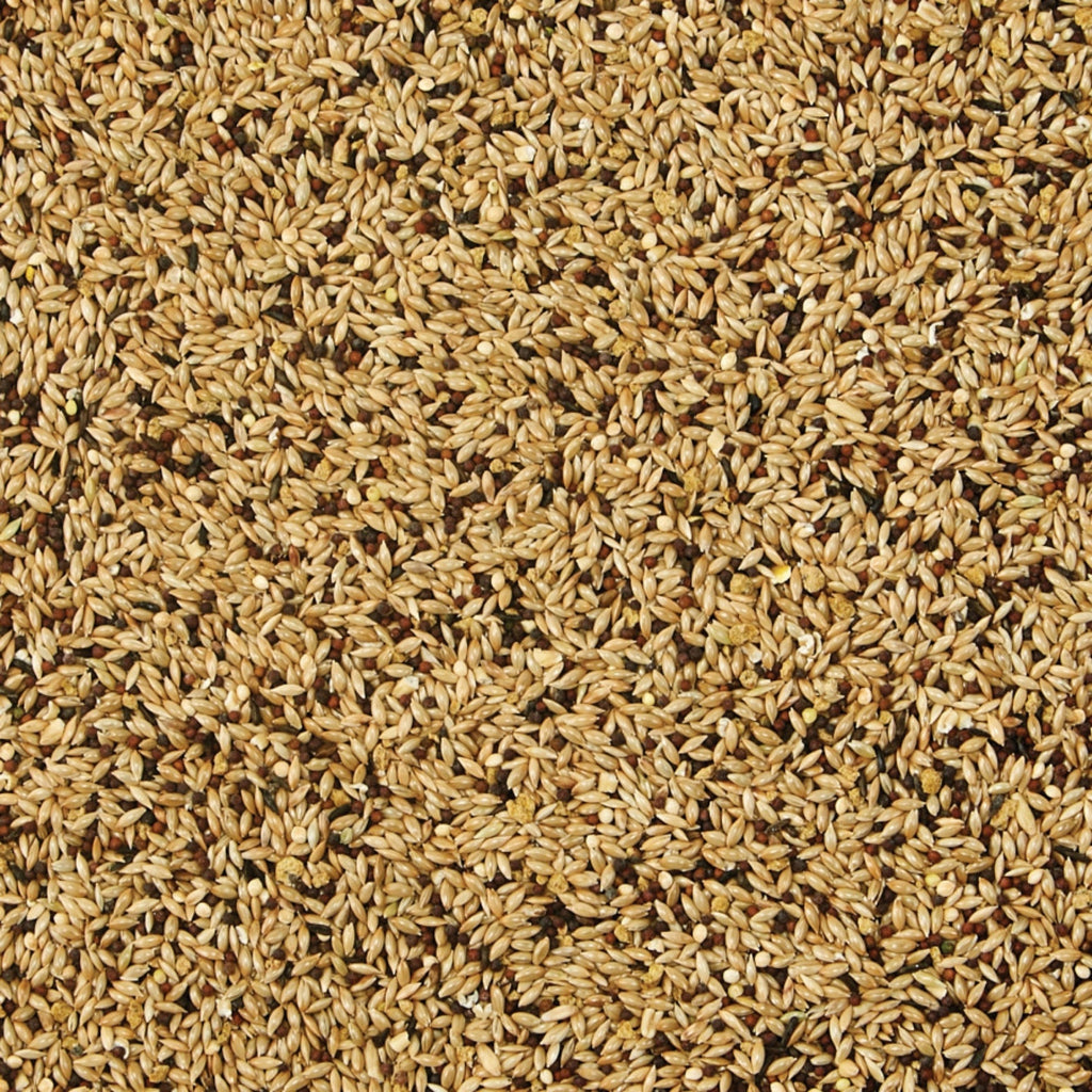 Kaytee Supreme Canary  Finch Food