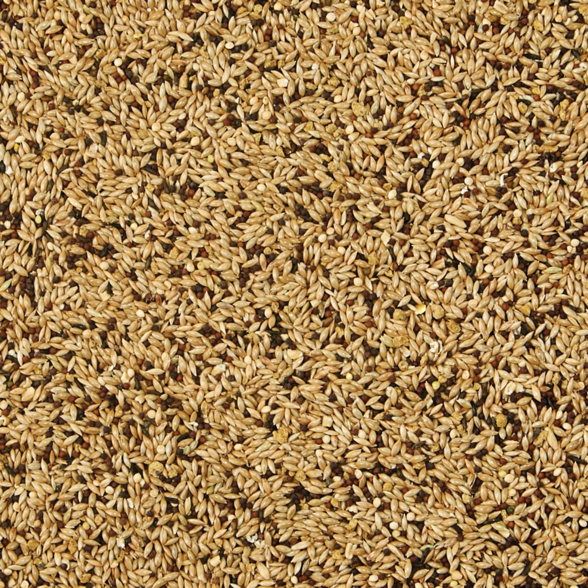 Kaytee Supreme Canary  Finch Food