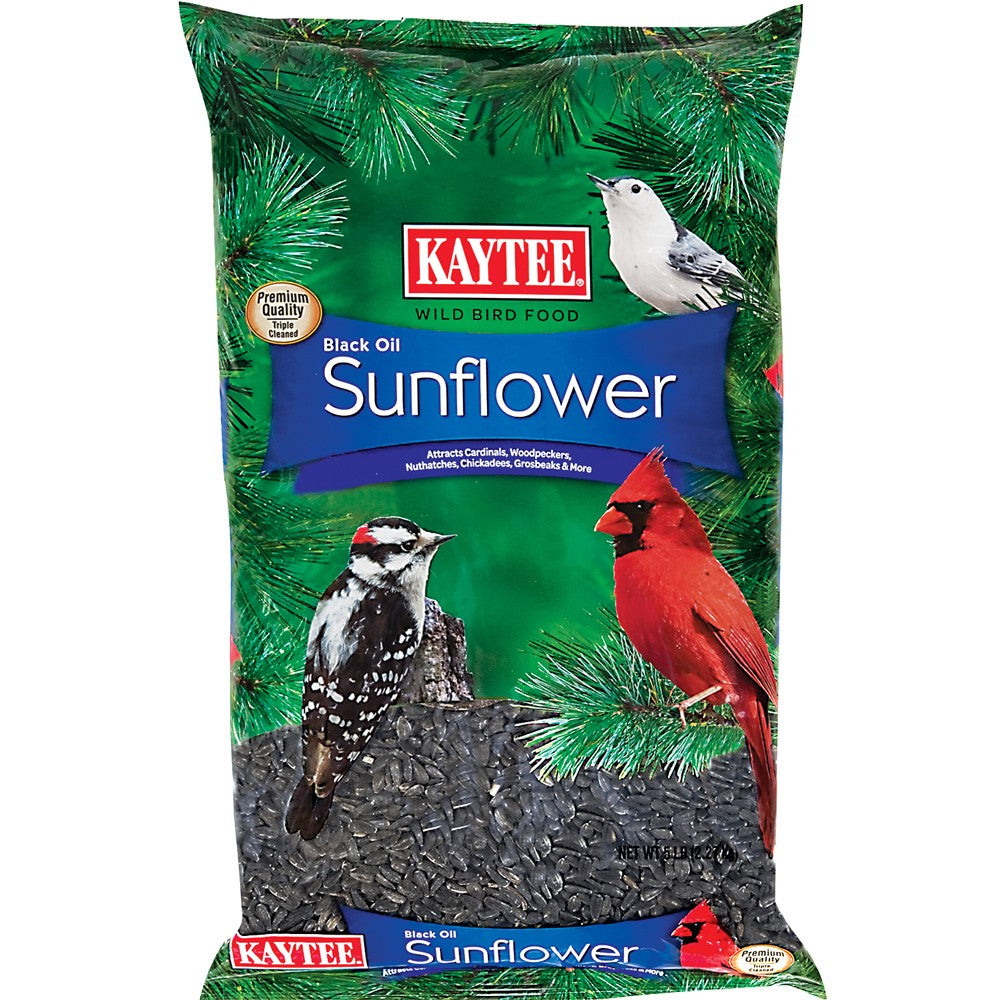 Kaytee Black Oil Sunflower Food