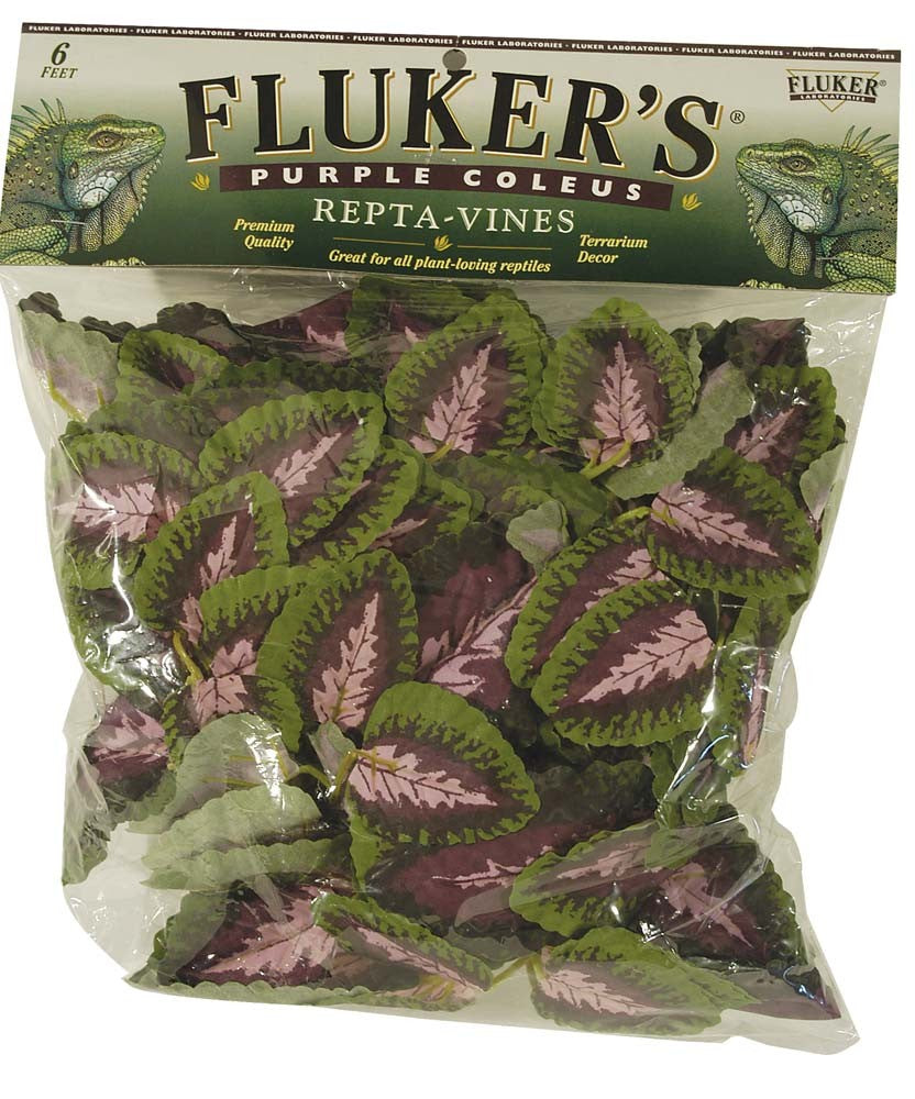 Fluker's Red Coleus Repta-Vines Green, Red
