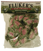 Fluker's Red Coleus Repta-Vines Green, Red