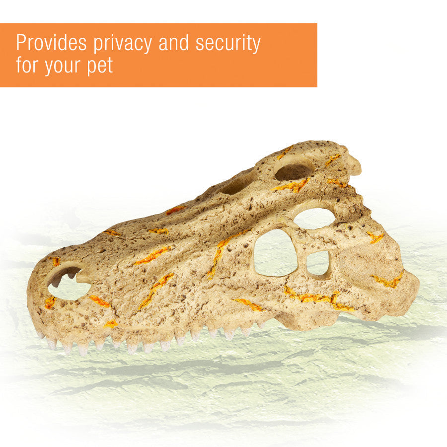 Zilla Rapid Sense Decor Medium Crocodile Skull