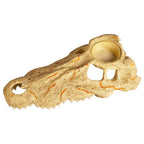 Zilla Rapid Sense Decor Medium Crocodile Skull
