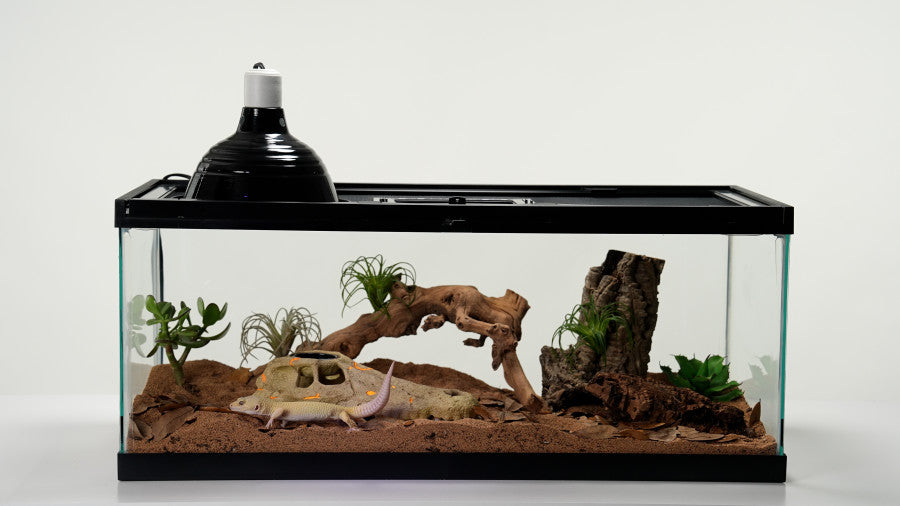 Zilla Rapid Sense Decor Medium Crocodile Skull