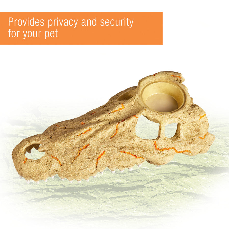 Zilla Rapid Sense Decor Medium Crocodile Skull