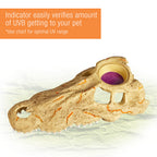 Zilla Rapid Sense Decor Medium Crocodile Skull