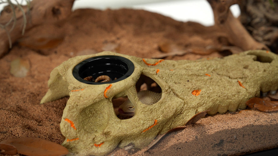 Zilla Rapid Sense Decor Medium Crocodile Skull