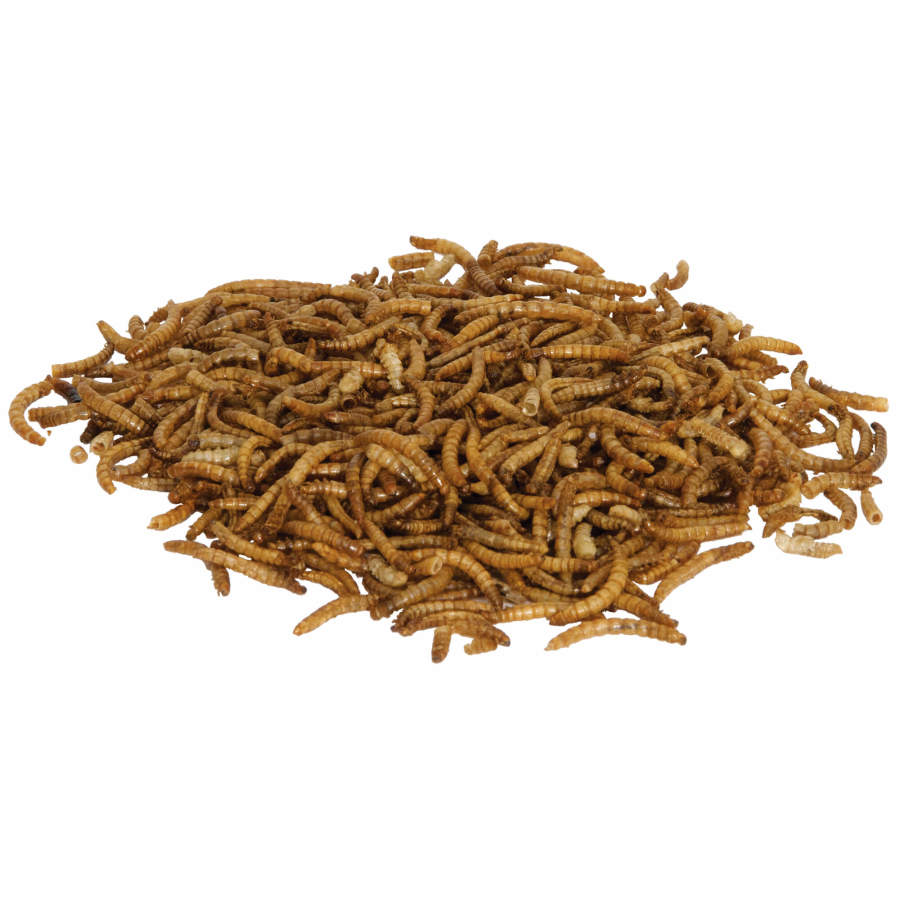 Zilla Reptile Munchies Mealworm