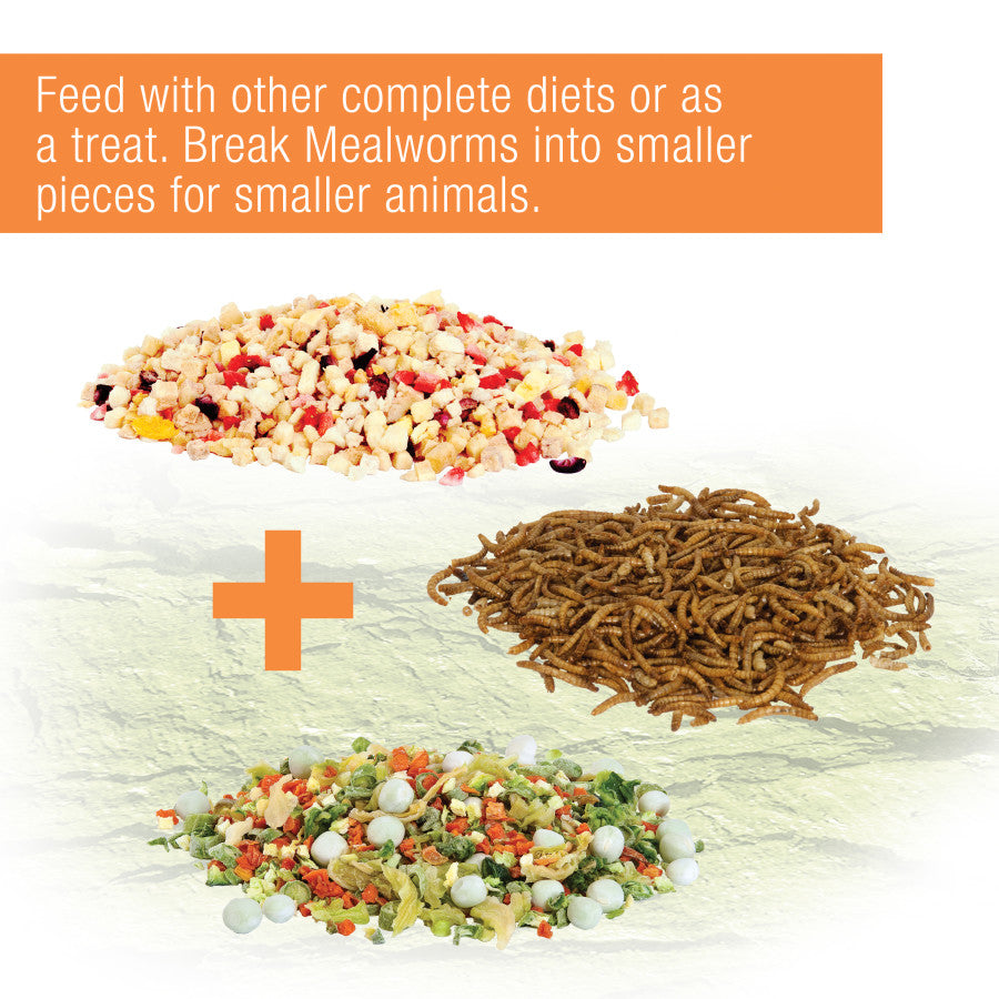 Zilla Reptile Munchies Mealworm