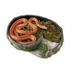 Snake Rock Layer
