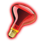 Zilla Incandescent Spot Bulb Night Red
