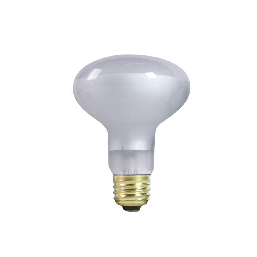 Zilla Incandescent Spot Bulb Day White
