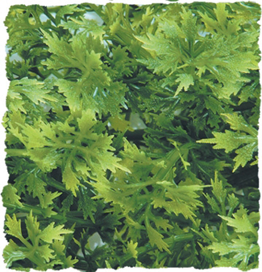 Zoo Med Natural Bush Australian Maple Plants Green