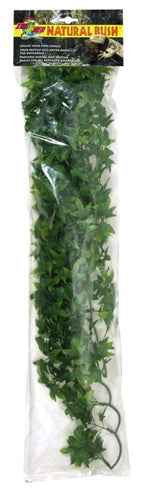 Zoo Med Natural Bush Congo Ivy Plants Green