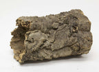 Zoo Med Natural Cork Bark Round Brown