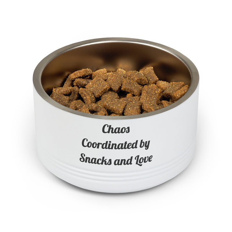Chaos Coordinated by Snacks and Love Stainless Steel for Family Feedings pet bowl in white – original NewGiftDay design