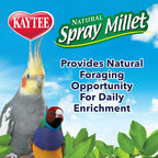 Kaytee Spray Millet for Birds