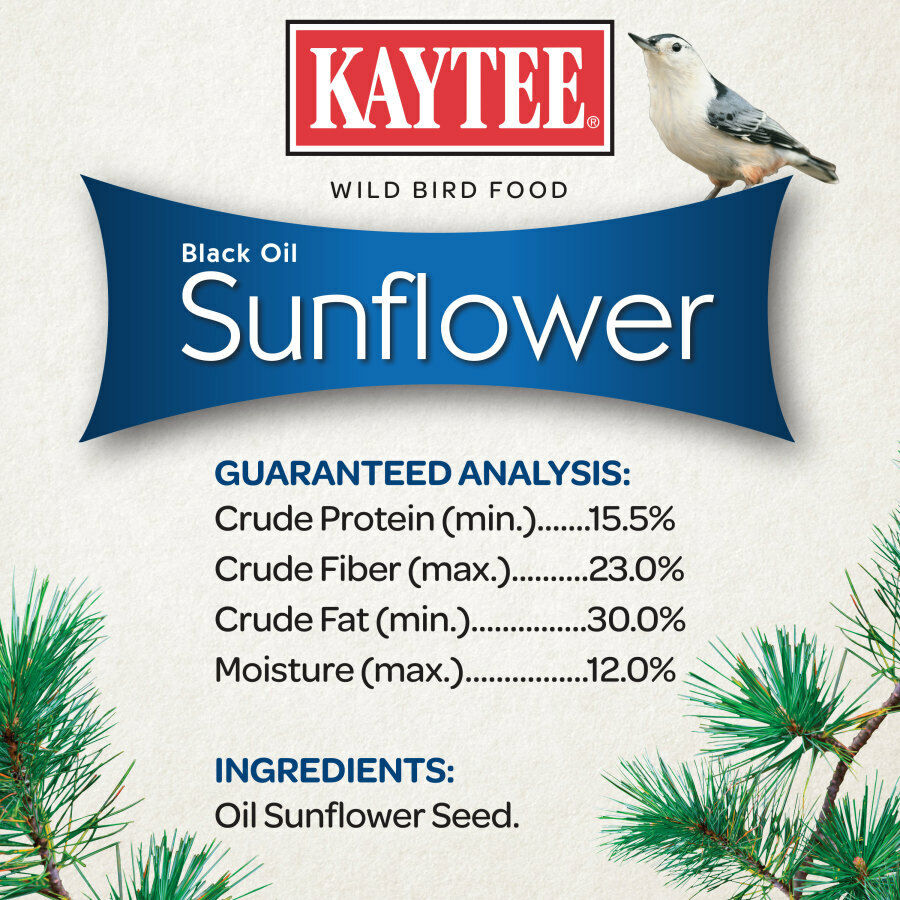 Kaytee Black Oil Sunflower Food