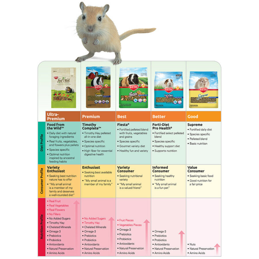 Kaytee Fiesta Mouse  Rat Food 1ea/2 lb