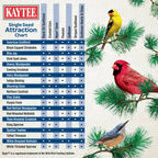 Kaytee Black Oil Sunflower Food