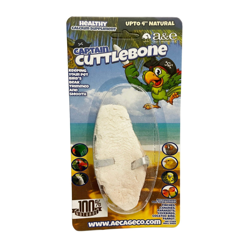 A & E Cages Natural Cuttlebone