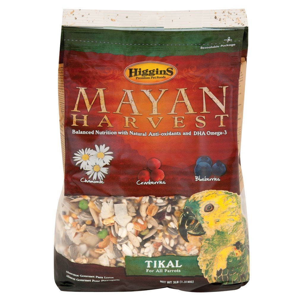 Mayan Harvest Tikal Blend
