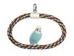 JW Pet Swing N Perch Ring Multi-Color