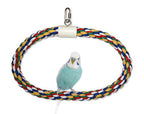 JW Pet Swing N Perch Ring Multi-Color