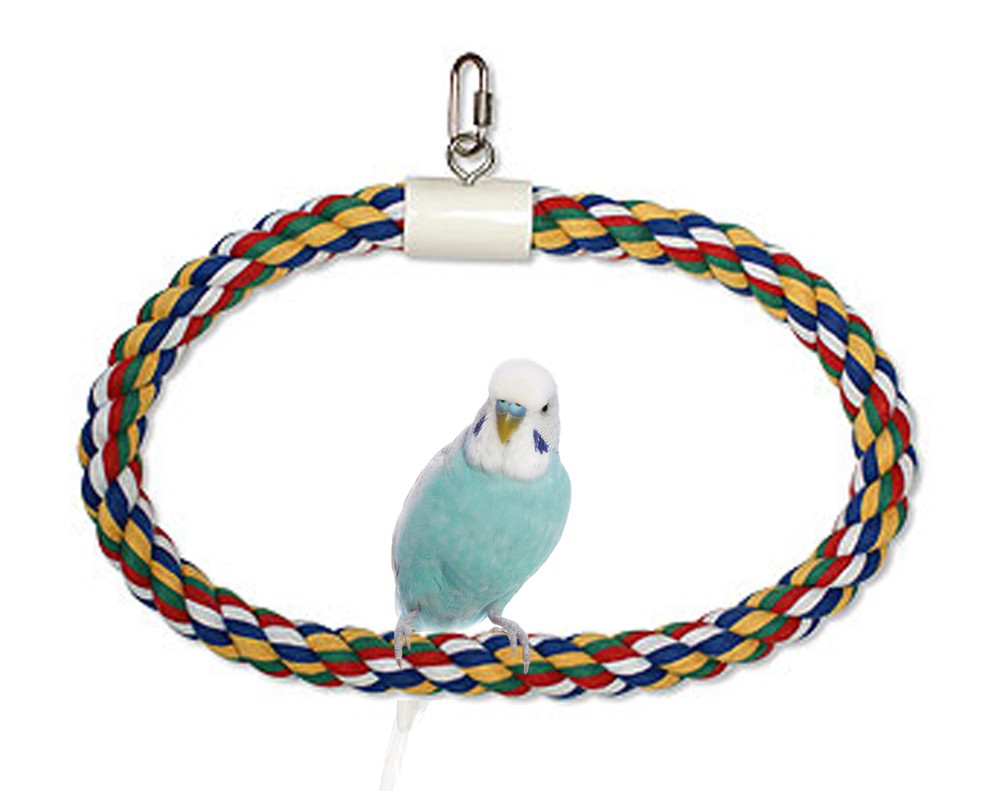 JW Pet Swing N Perch Ring Multi-Color