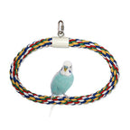 JW Pet Swing N Perch Ring Multi-Color