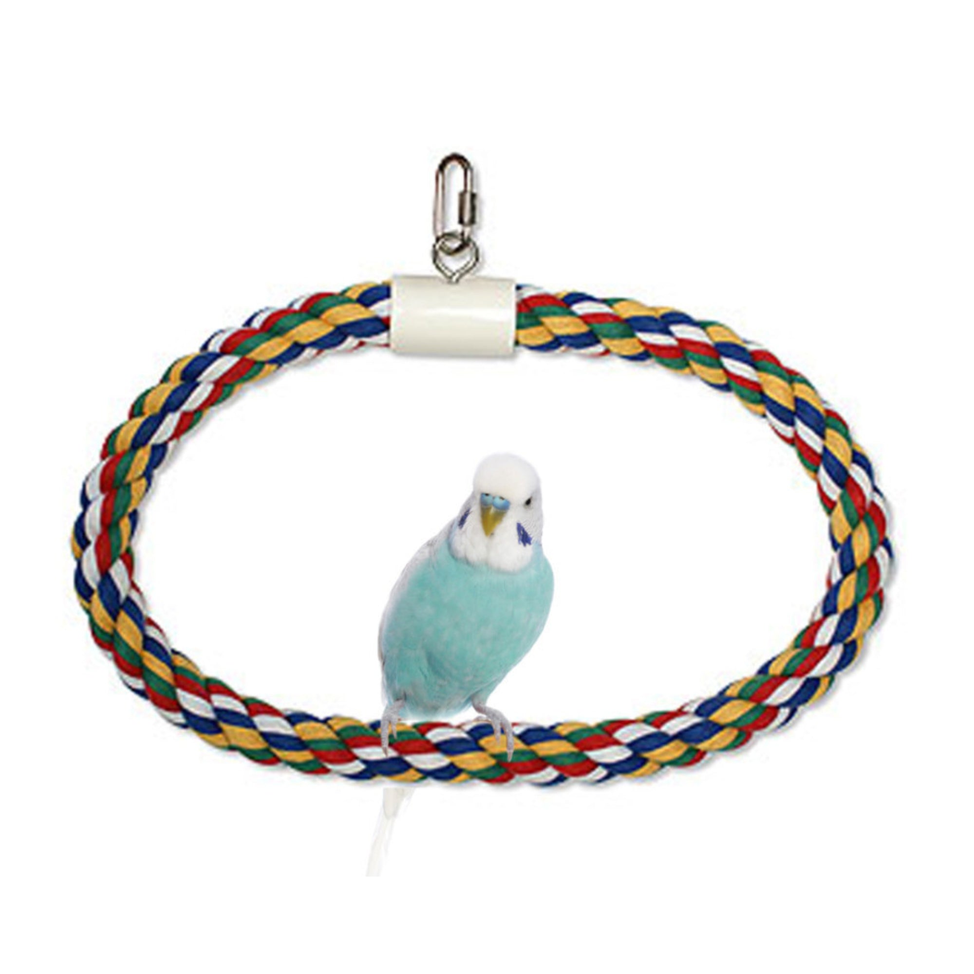 JW Pet Swing N Perch Ring Multi-Color