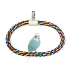 JW Pet Swing N Perch Ring Multi-Color