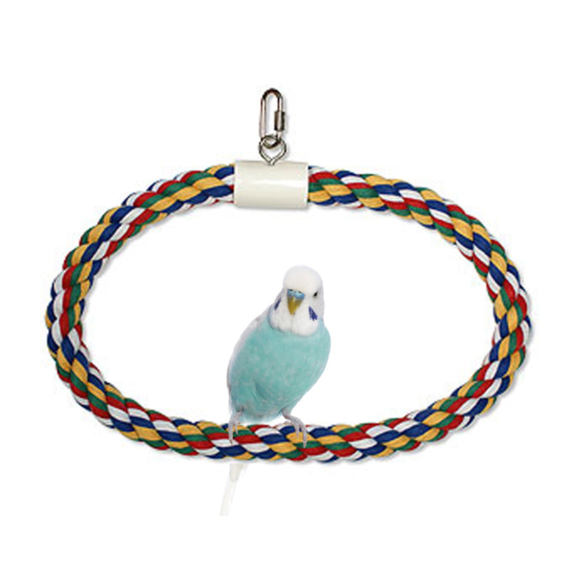 JW Pet Swing N Perch Ring Multi-Color
