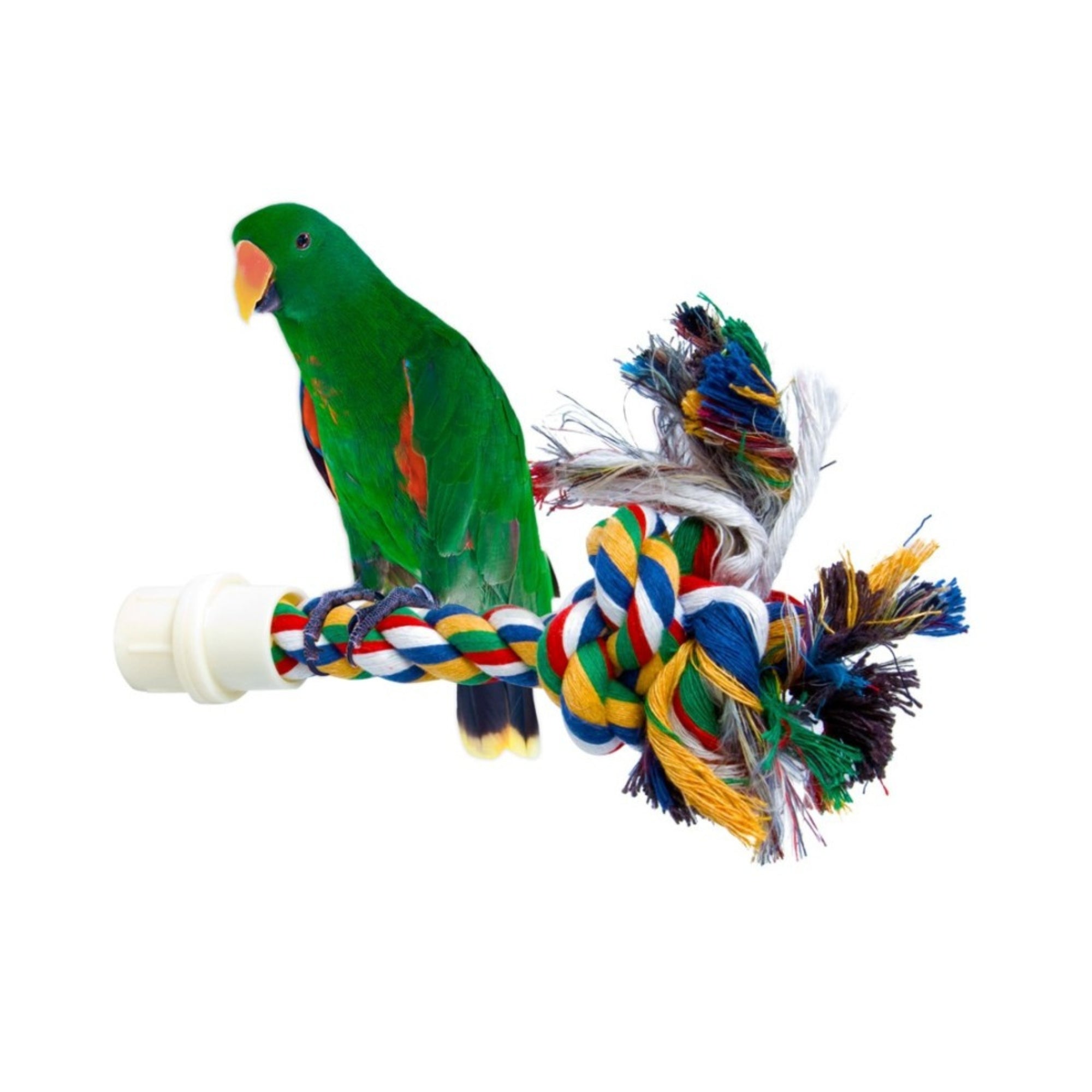 JW Pet Byrdy Bush Multi-Color