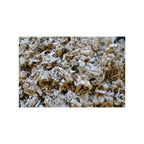 Oxbow Animal Health Pure Comfort Small Animal Bedding Natural