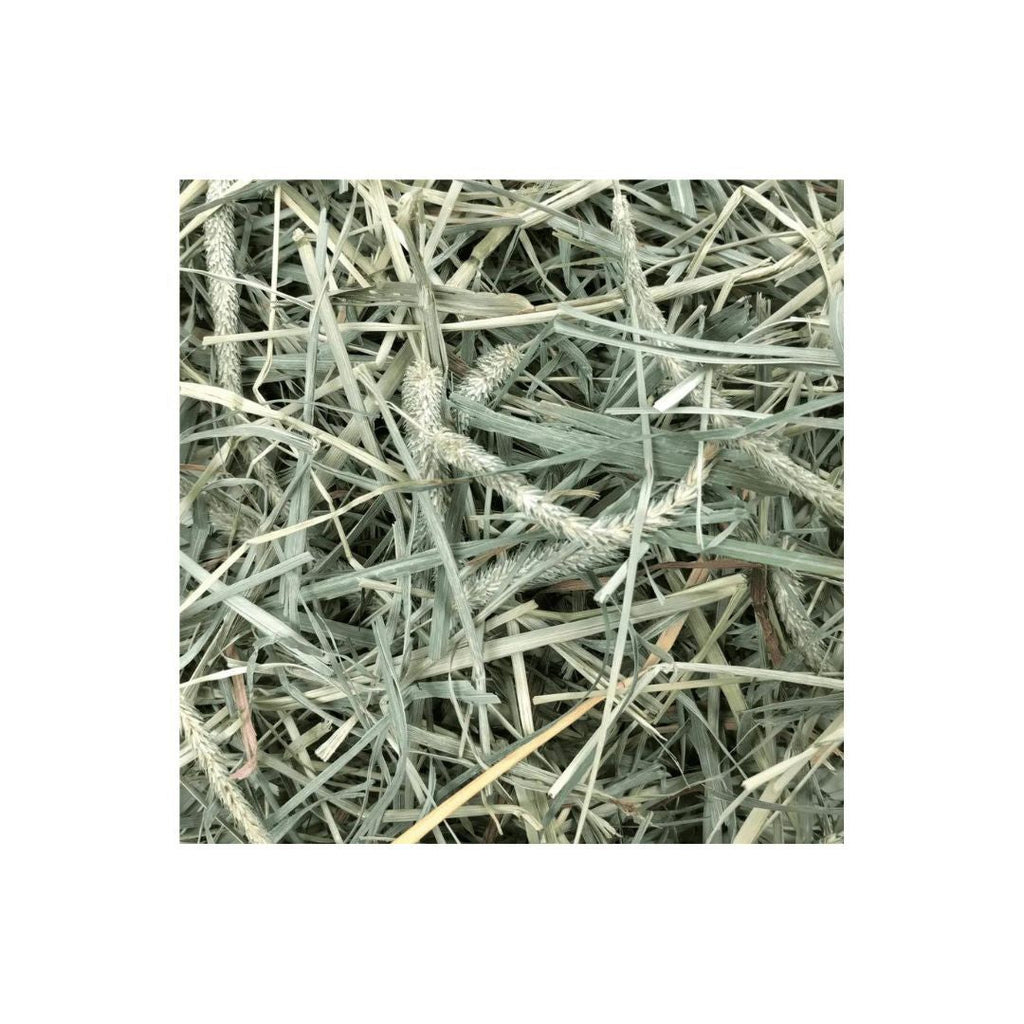 Oxbow Animal Health Hay Blends Western Timothy & Orchard Grass Hay Blends