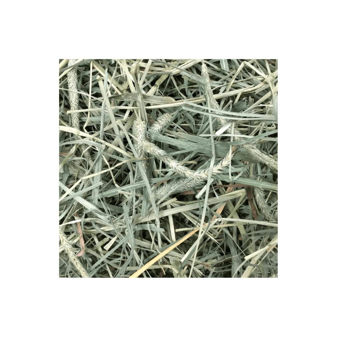 Oxbow Animal Health Hay Blends Western Timothy & Orchard Grass Hay Blends