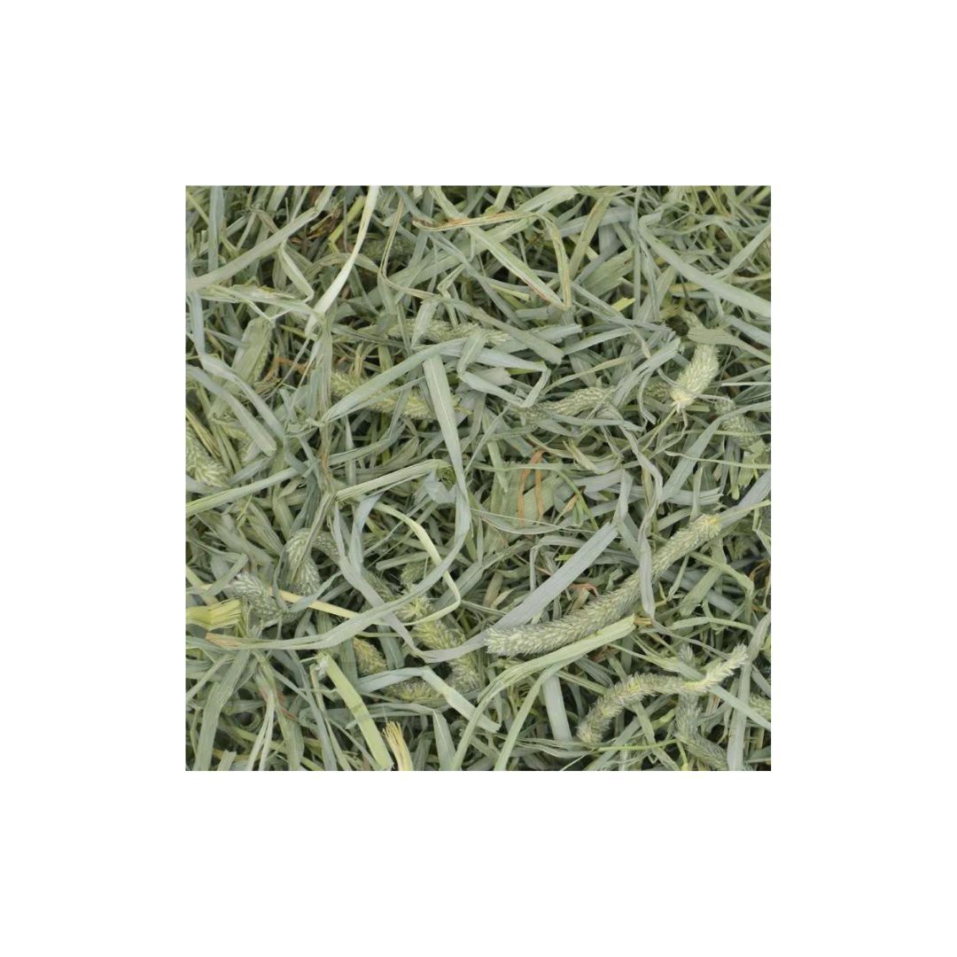 Oxbow Small Animal Prime Crunchy Timothy Hay