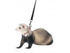 Marshall Pet Products Ferret Harness and Lead Set