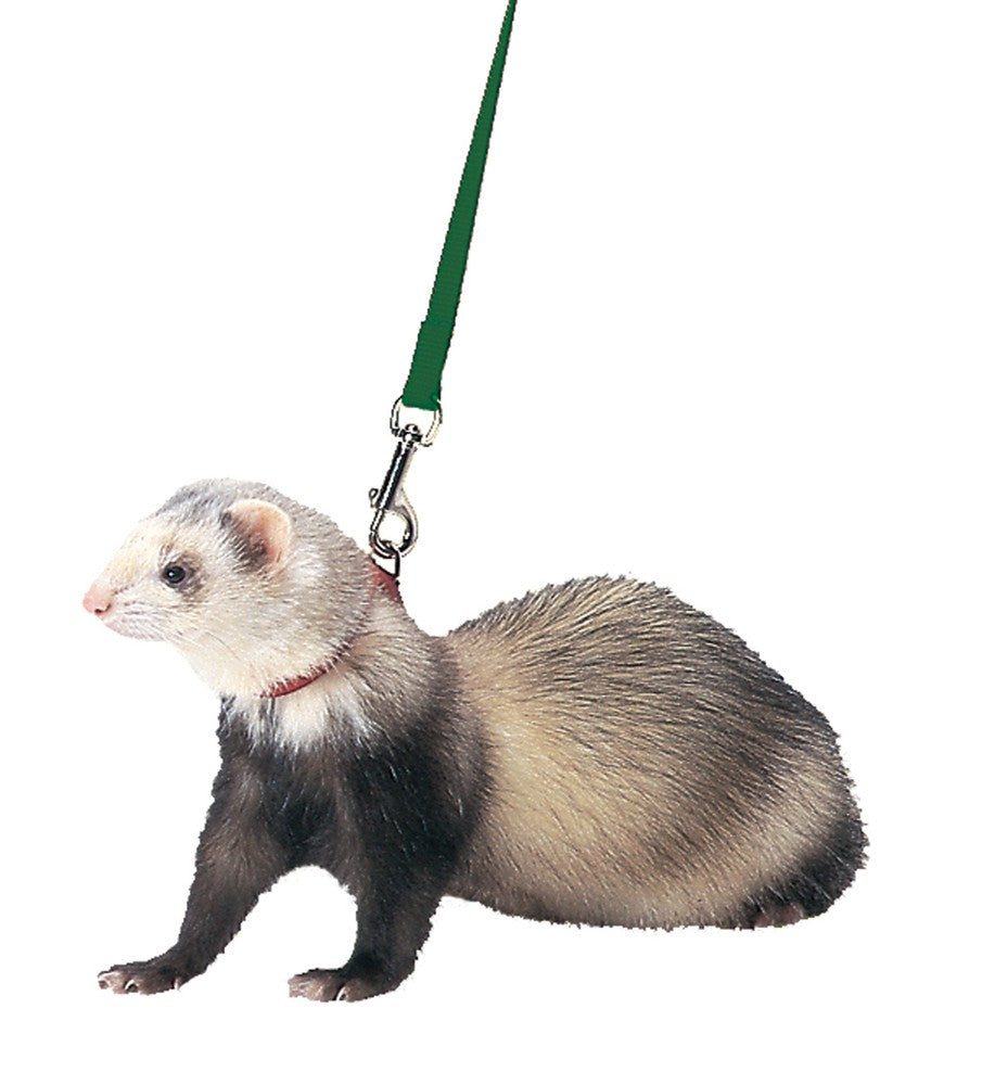 Marshall Pet Products Ferret Harness and Lead Set