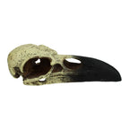 Komodo Raven Skull Hideout