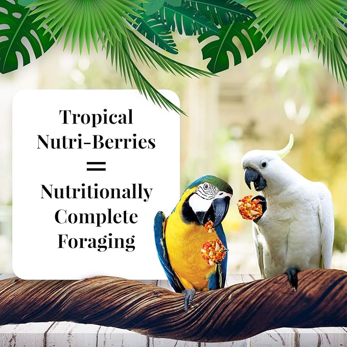 Lafeber Company Tropical Fruit Nutri-Berries Macaws & Cockatoos Food