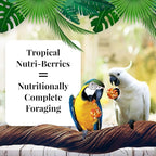 Lafeber Company Tropical Fruit Nutri-Berries Macaws & Cockatoos Food