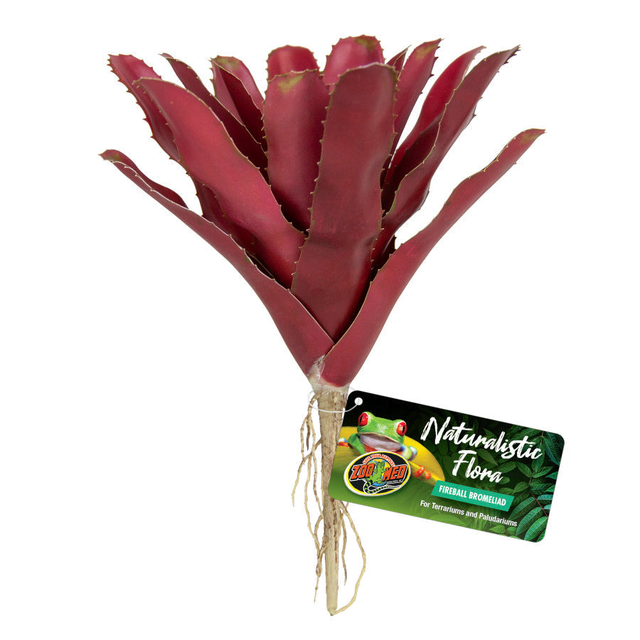Zoo Med Naturalistic Flora Chestnut Bromeliad Terrarium Plant Purple, Tan