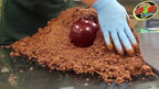 Zoo Med Excavator Clay Burrowing Substrate Brown